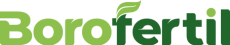 logo web