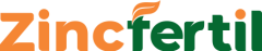 logo web-zinc